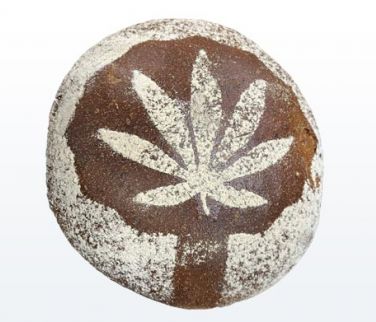Hanfbrot – Bäckerei Zum Kirchbäck Burgstädt Rundes, dunkles Brot mit Mehl-Abdruck in Form eines Hanfblattes