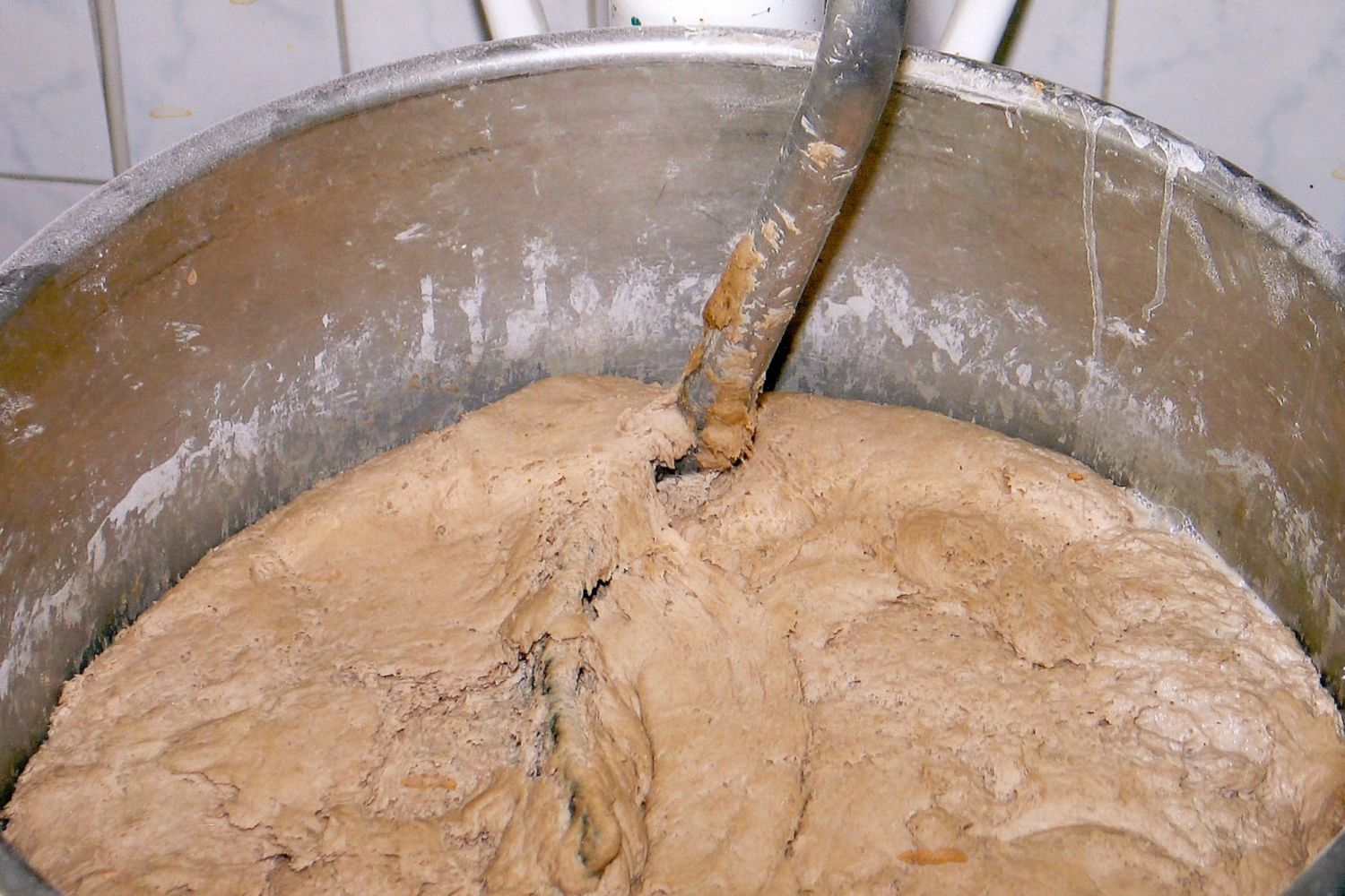 Der Natursauerteig zieht in den großen Kneter um. Sauerteig im großen Kneter