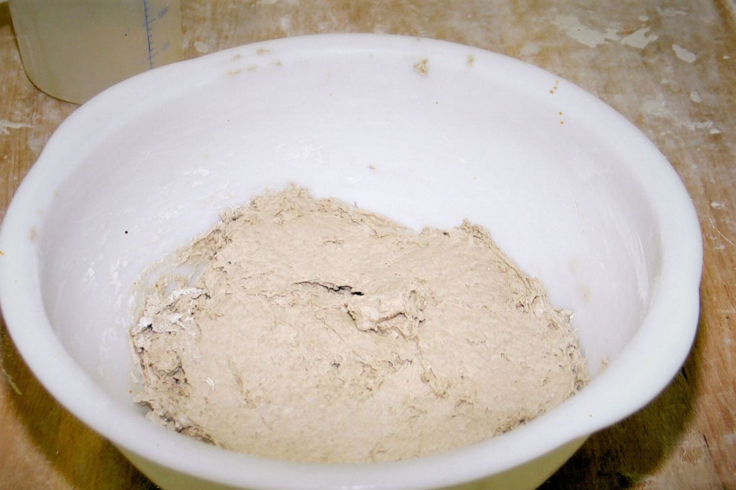 Im Natursauerteig wachsen in Ruhe milchsäurebildende und essigsäurebildende Bakterien und Hefen. In einer großen Schüssel ruht der Natursauerteig.