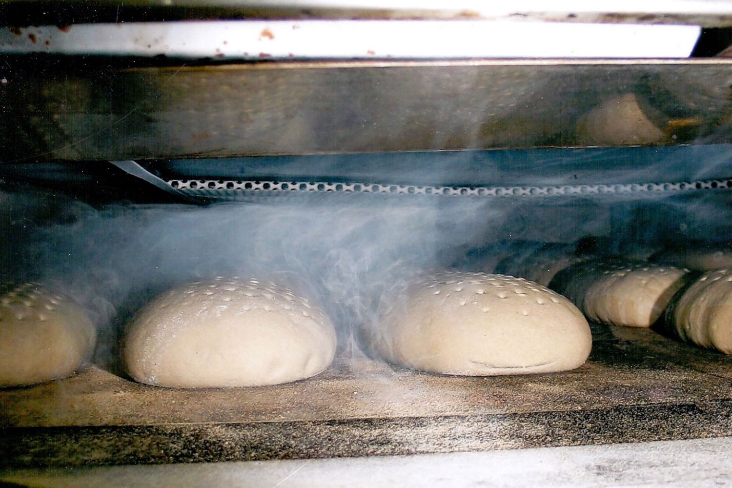 Nach dem Ruhen werden die Brote gebacken. Blick in den Ofen – auf einer Ebene liegen die Brotlaibe zum Backen.