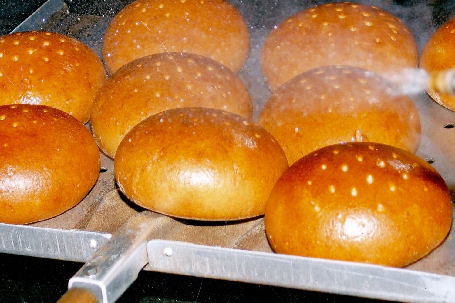 Toll gebräunt und herrlich duftend kommen die Brote aus dem Ofen. Fertig gebackene, goldbraune Brote auf einem Schieber